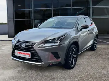 NX 300h E-FOUR Luxury Line