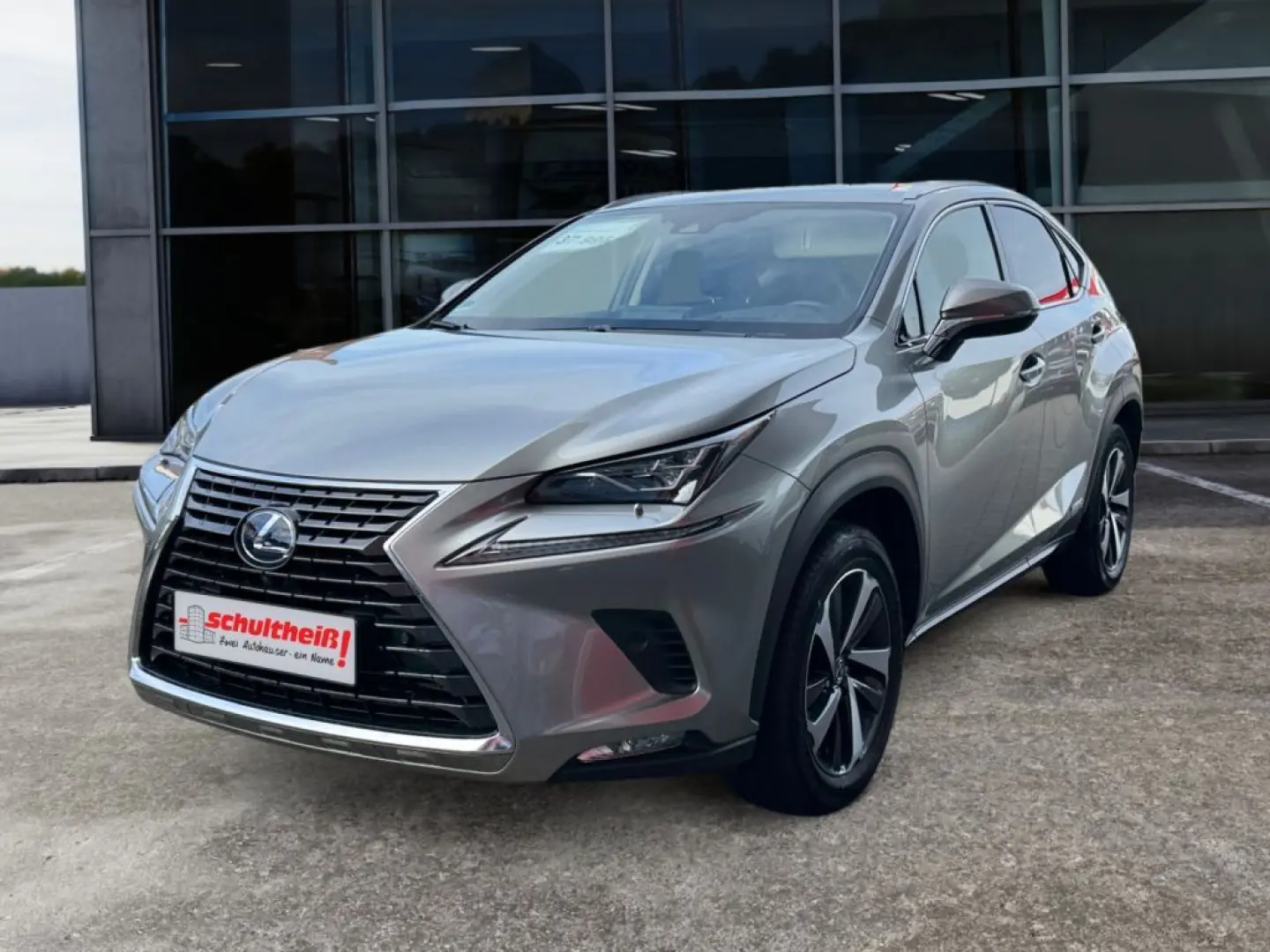 NX 300h E-FOUR Luxury Line