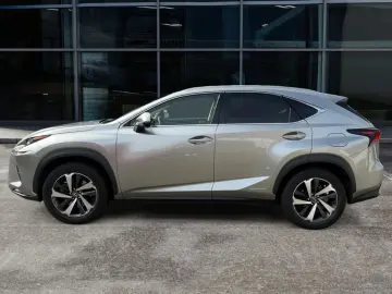 NX 300h E-FOUR Luxury Line
