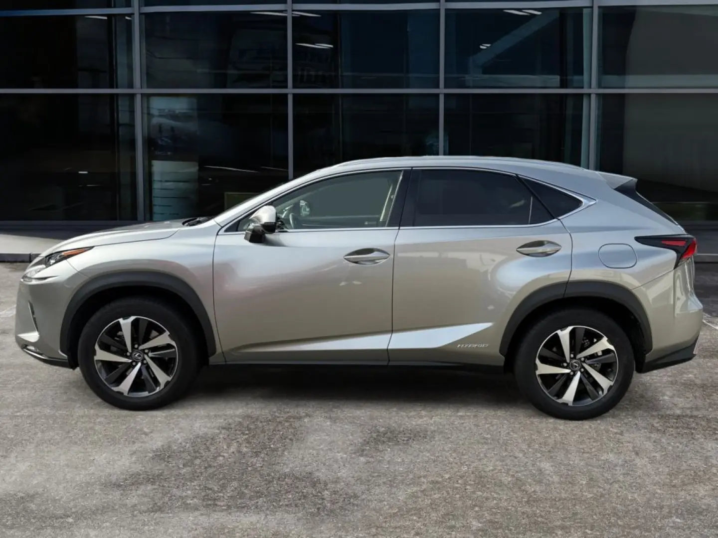 NX 300h E-FOUR Luxury Line