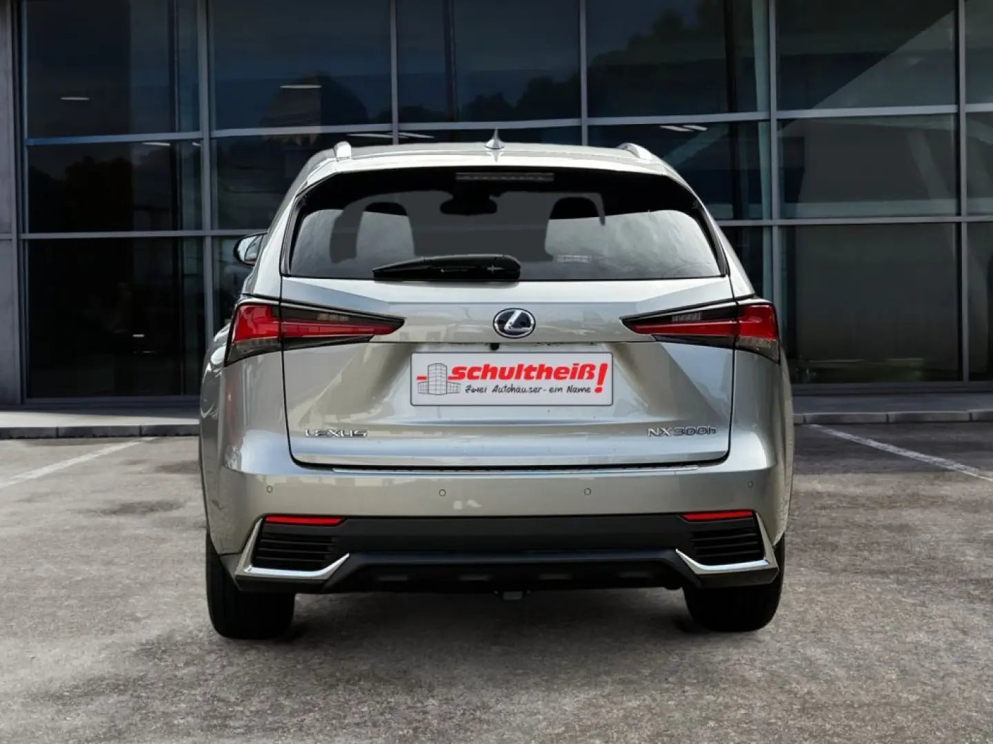 NX 300h E-FOUR Luxury Line