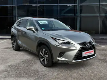 NX 300h E-FOUR Luxury Line