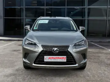 NX 300h E-FOUR Luxury Line