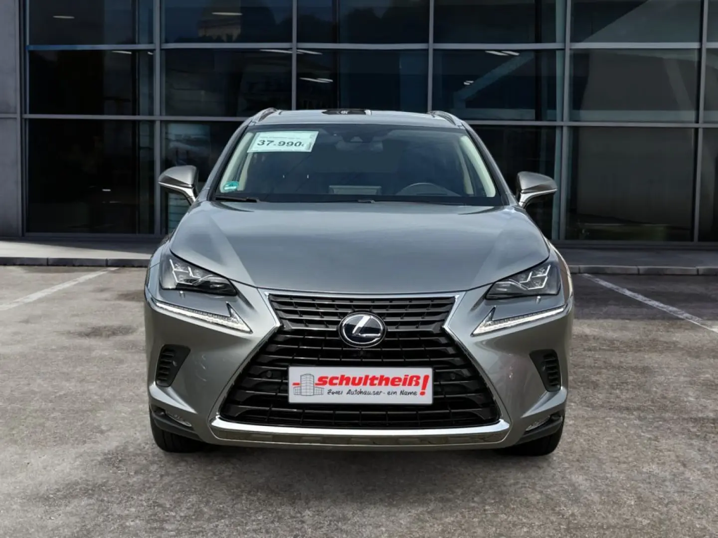 NX 300h E-FOUR Luxury Line