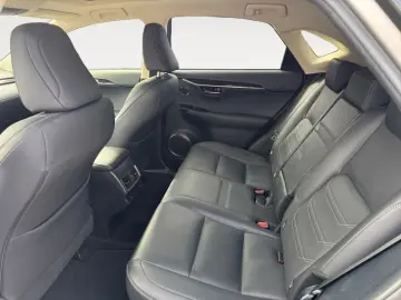 NX 300h E-FOUR Luxury Line