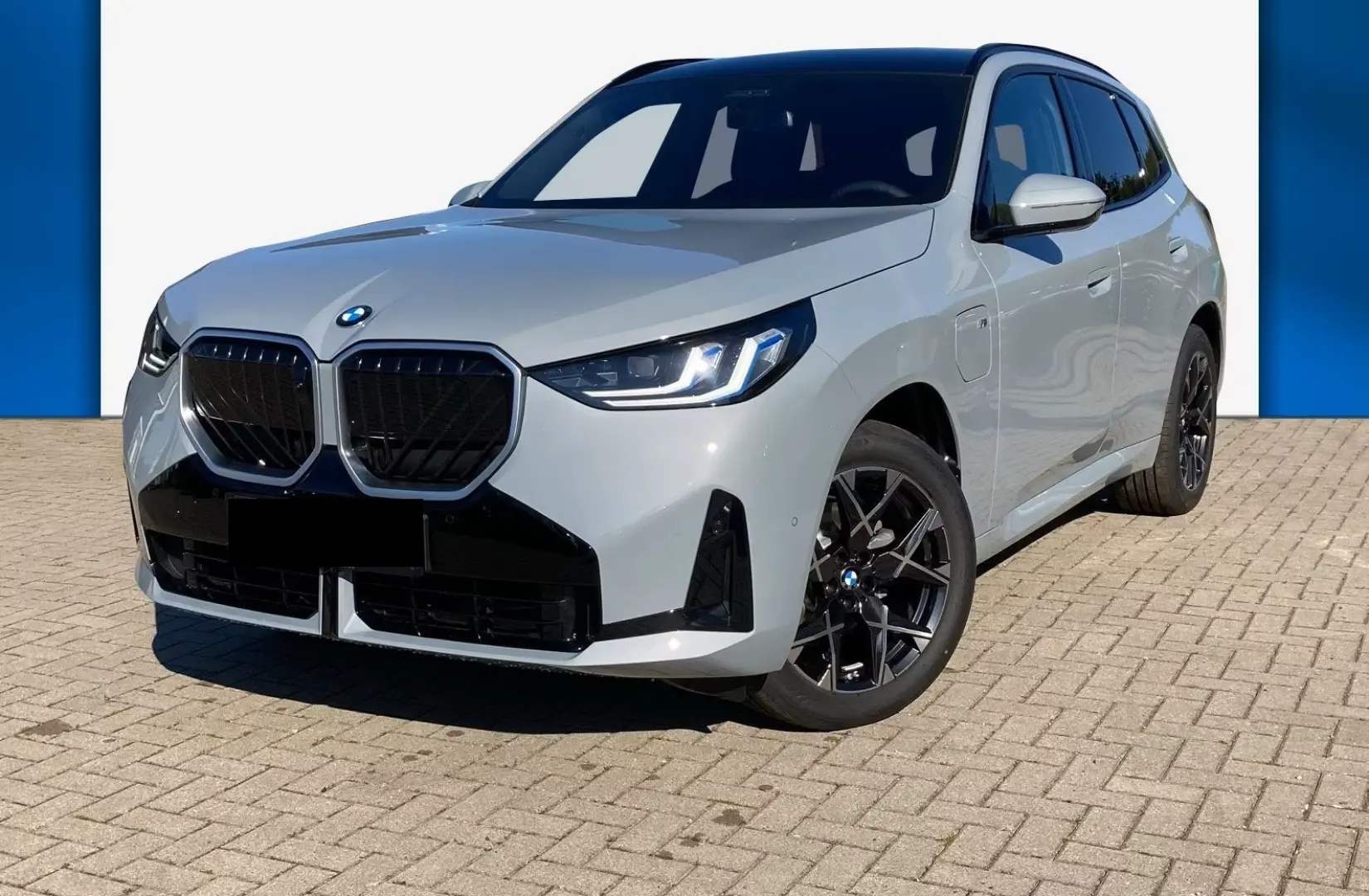 BMW X3 Pachet 30e xDrive M Sport*HK*RFK