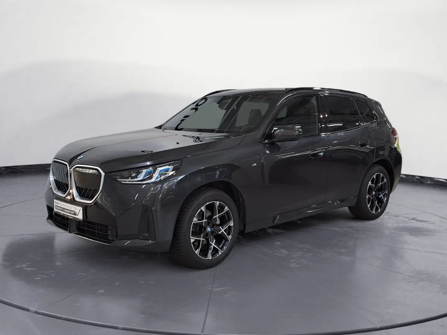 BMW X3 xDrive20 M Sportpaket Panorama
