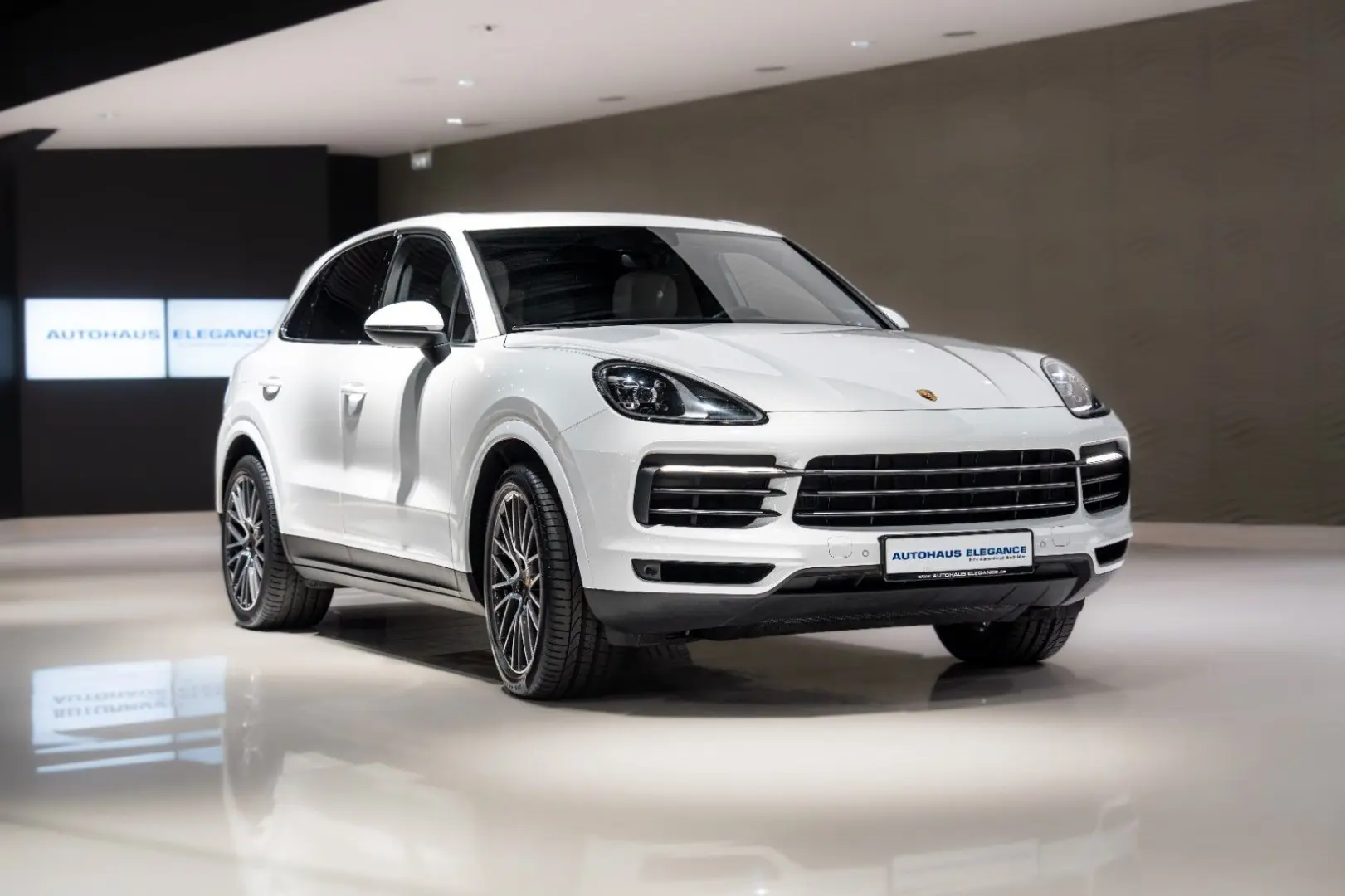 Cayenne*PANO*LUFTFEDER.*14-WEGE*21
