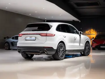 Cayenne*PANO*LUFTFEDER.*14-WEGE*21