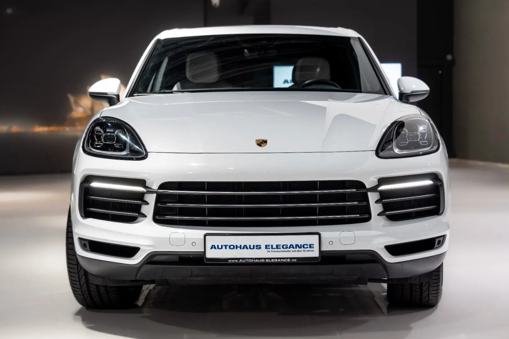 Cayenne*PANO*LUFTFEDER.*14-WEGE*21