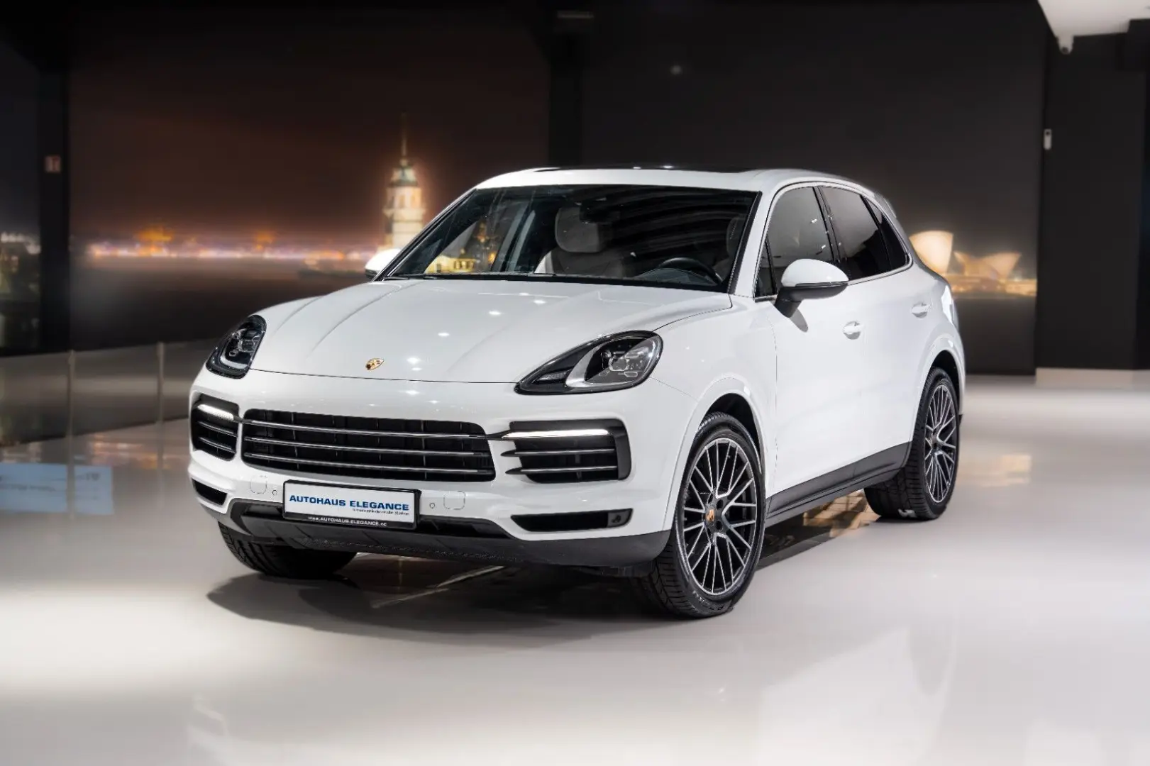 Cayenne*PANO*LUFTFEDER.*14-WEGE*21