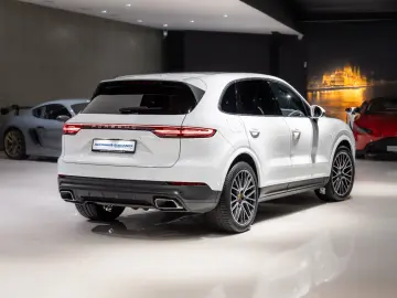 Cayenne*PANO*LUFTFEDER.*14-WEGE*21
