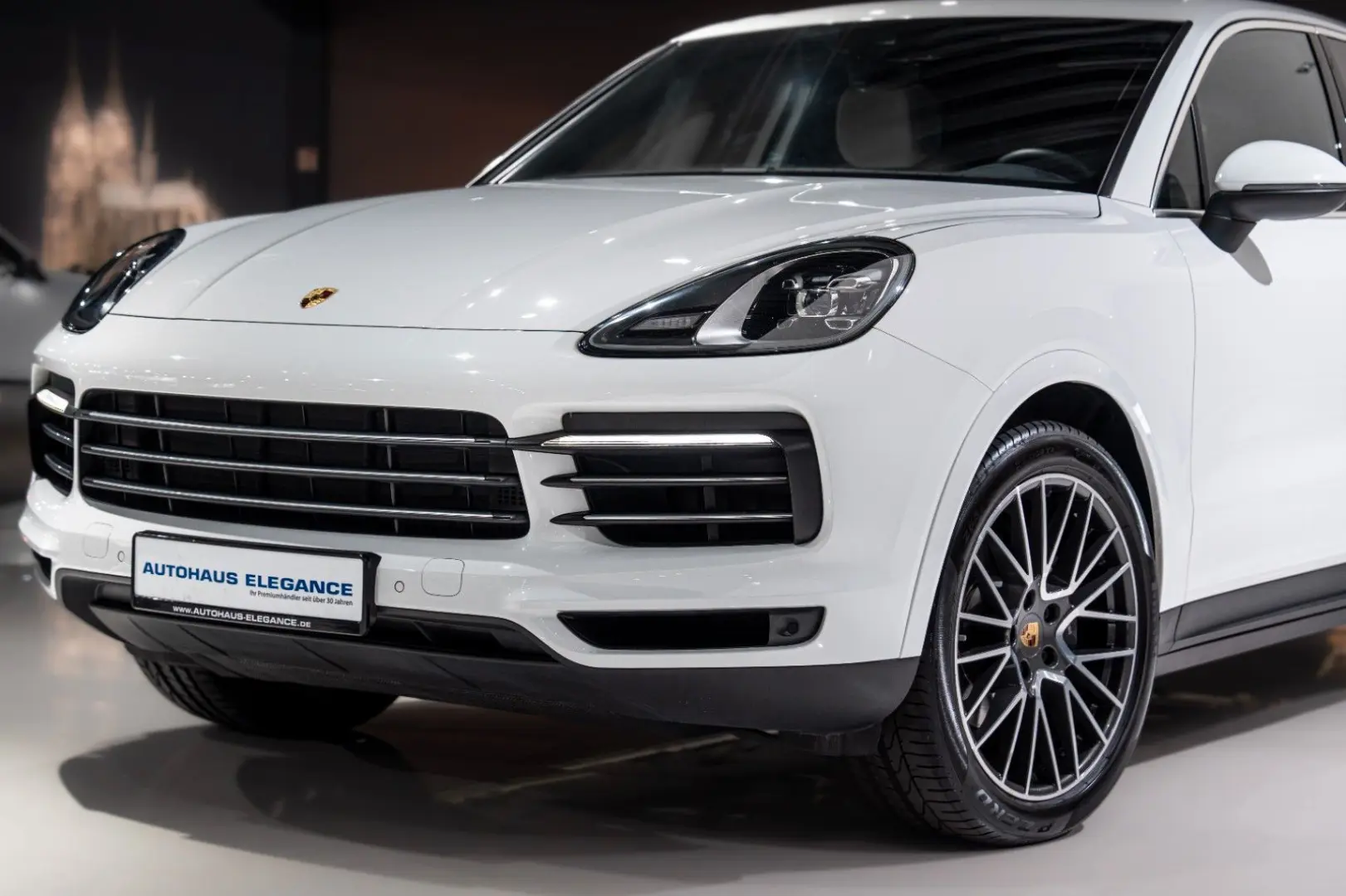 Cayenne*PANO*LUFTFEDER.*14-WEGE*21