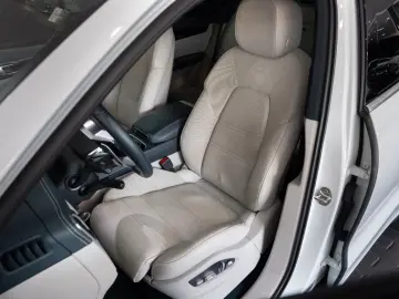 Cayenne*PANO*LUFTFEDER.*14-WEGE*21