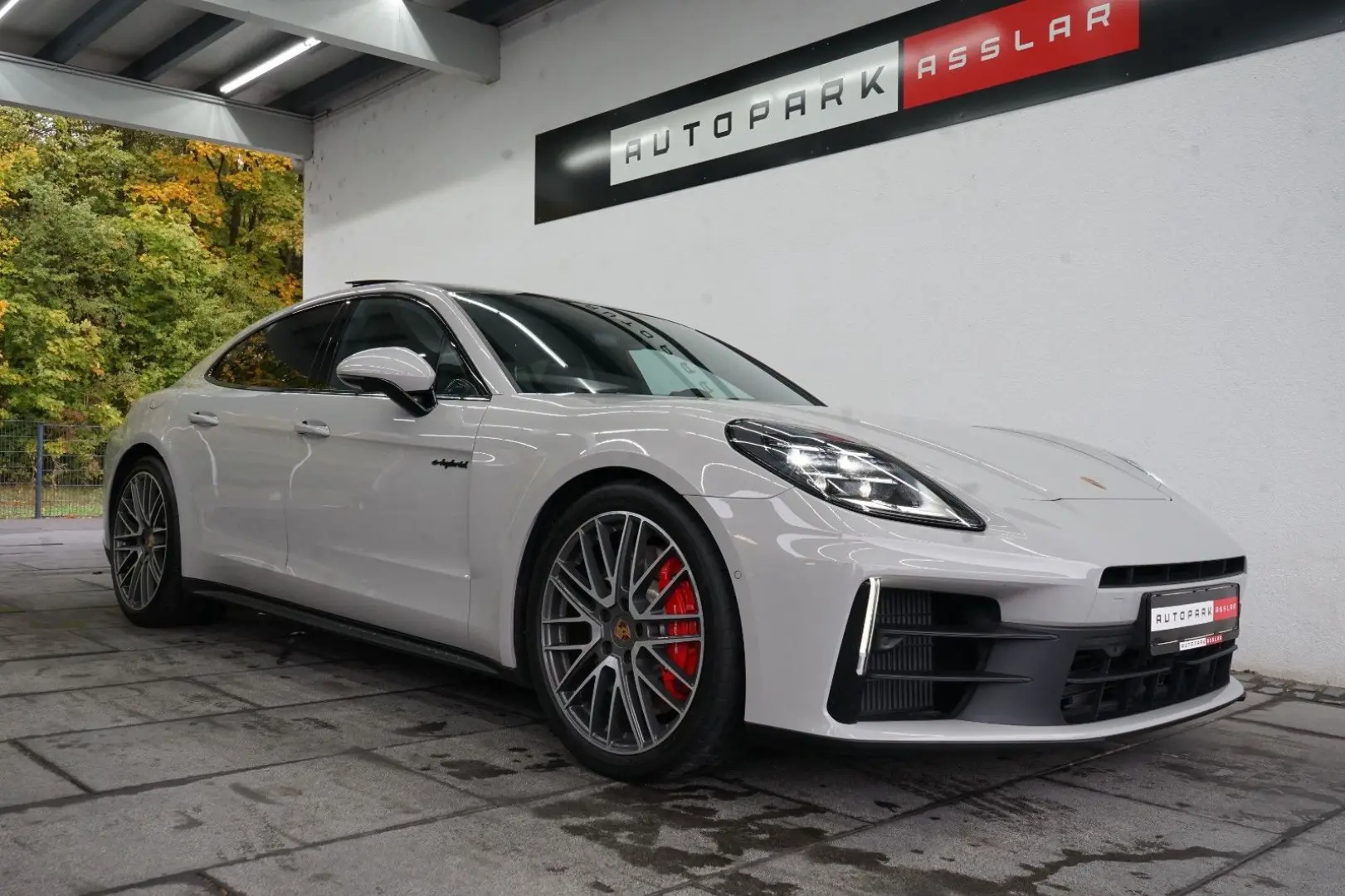 Panamera 4 S E-Hybrid/Kreide/P-Display/SpAbgas