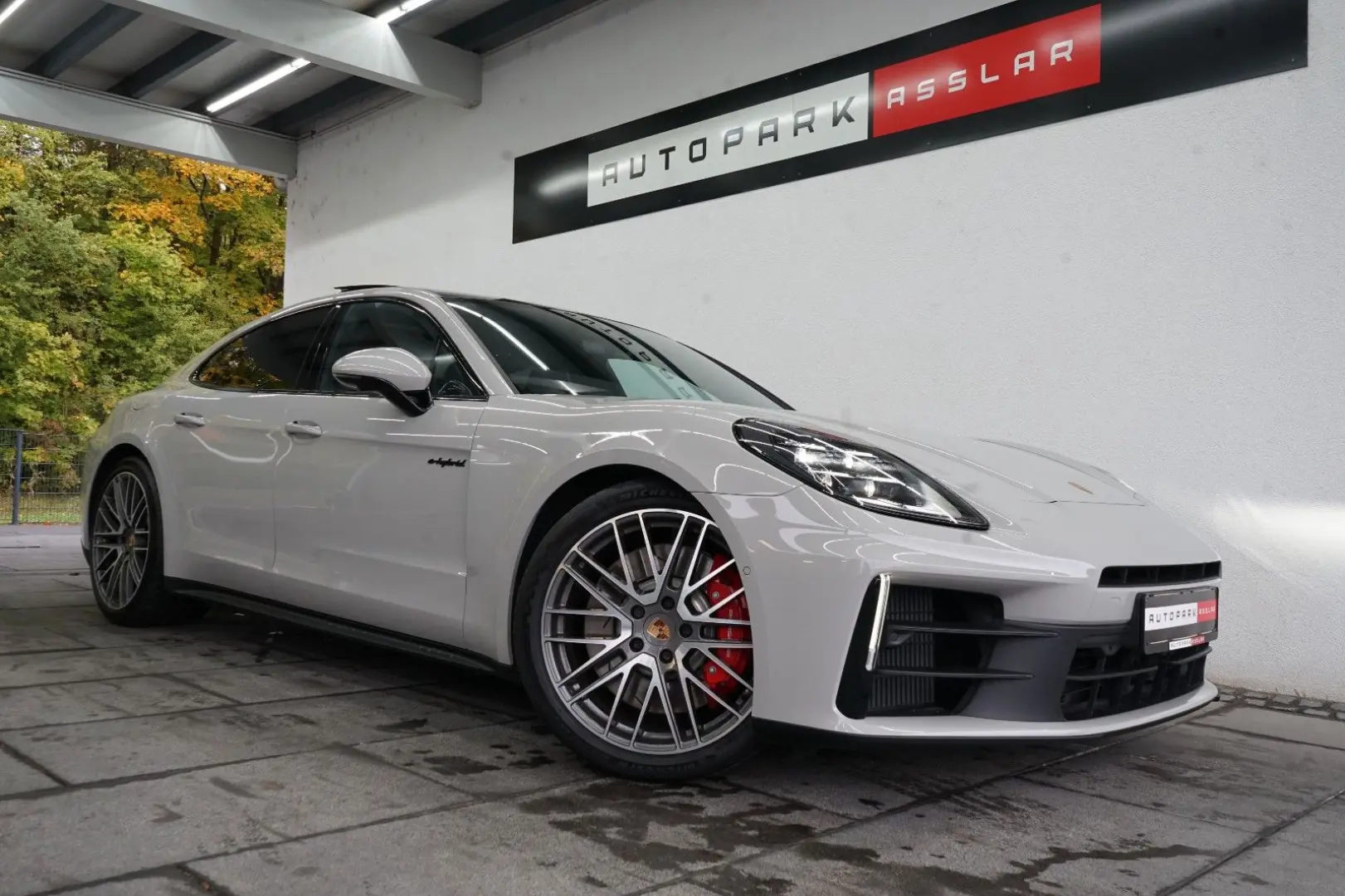 Panamera 4 S E-Hybrid/Kreide/P-Display/SpAbgas