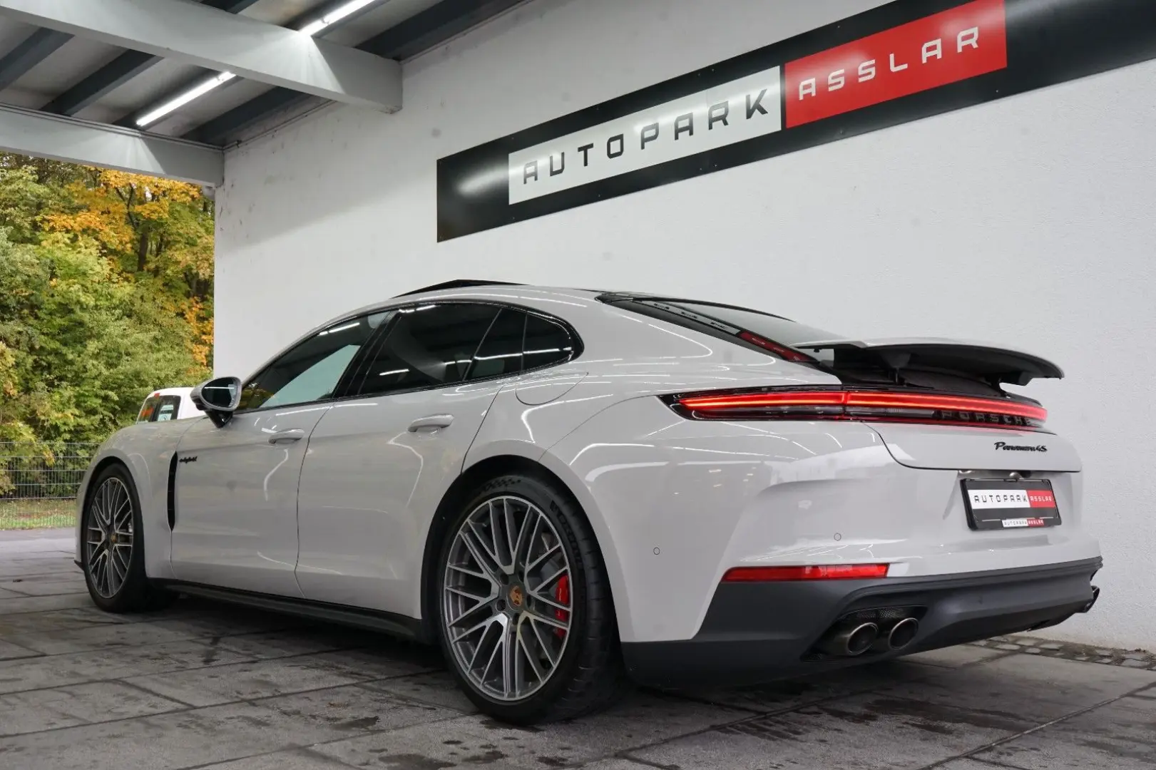 Panamera 4 S E-Hybrid/Kreide/P-Display/SpAbgas