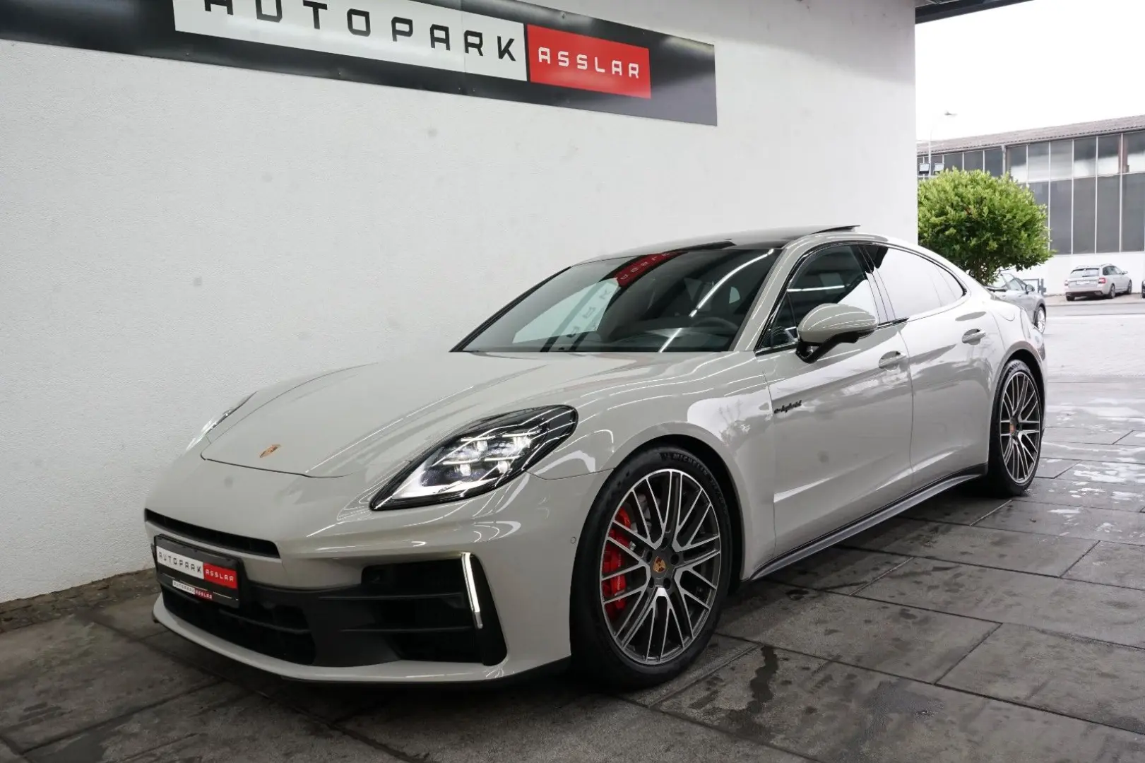 Panamera 4 S E-Hybrid/Kreide/P-Display/SpAbgas