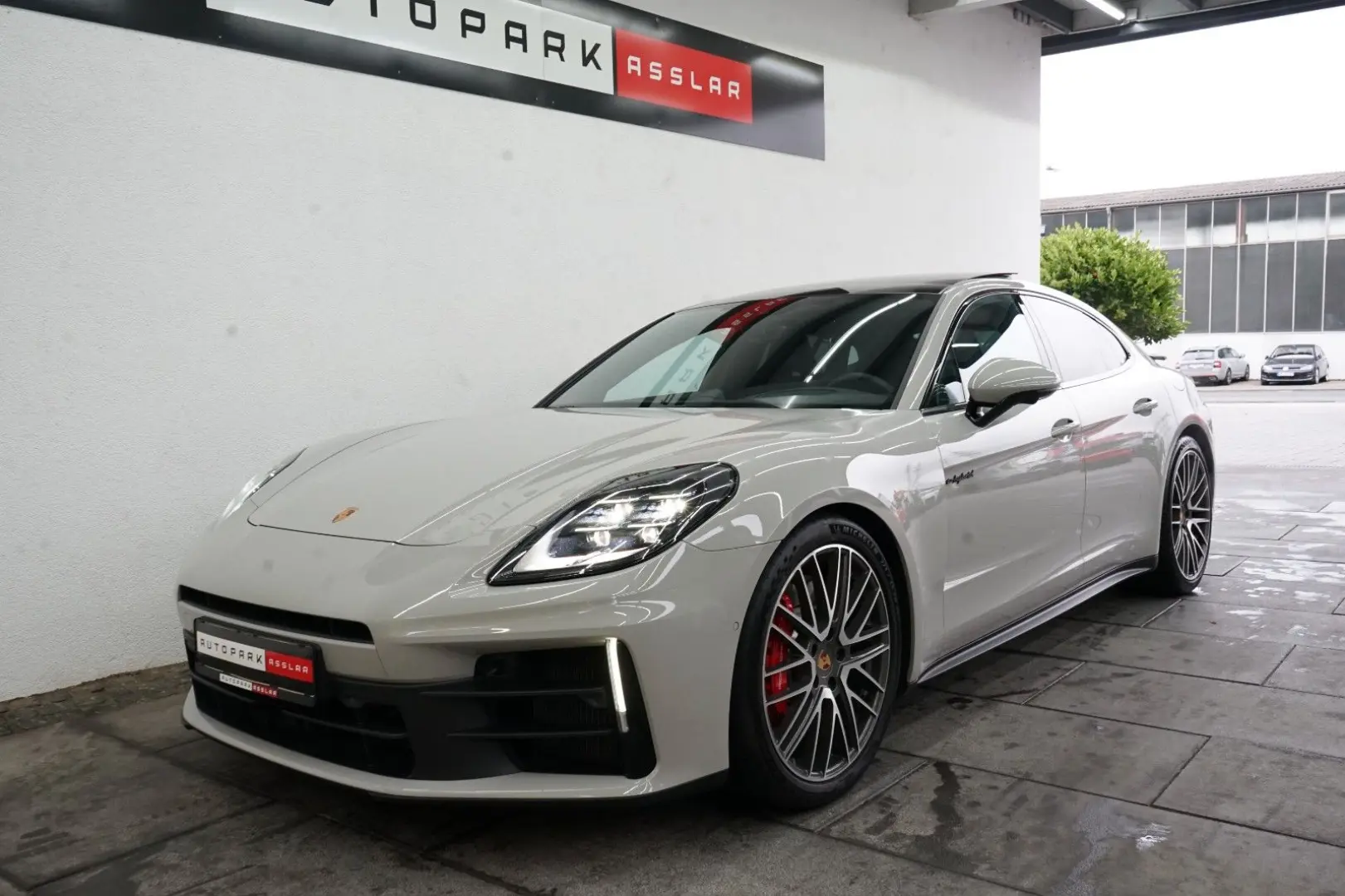 Panamera 4 S E-Hybrid/Kreide/P-Display/SpAbgas