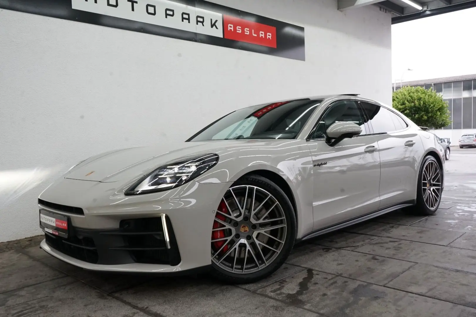 Panamera 4 S E-Hybrid/Kreide/P-Display/SpAbgas