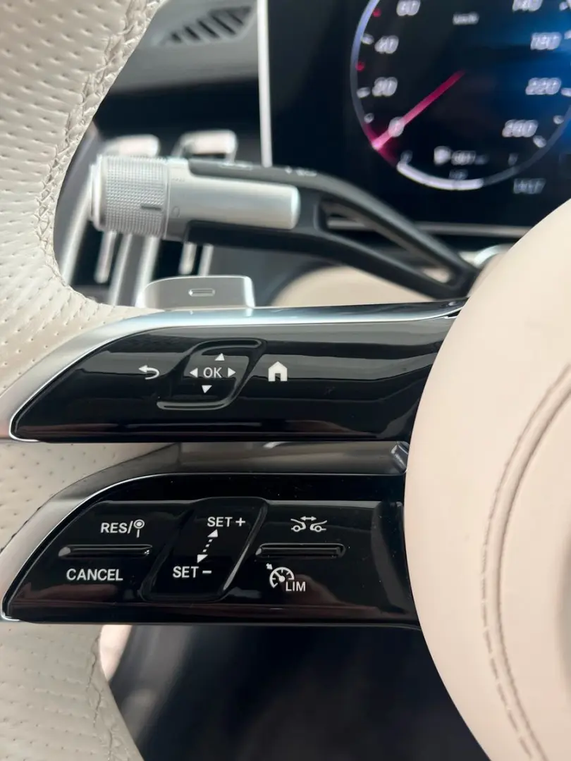 S 450 d 4M lang AMG Line/Distronic/Multibeam LED