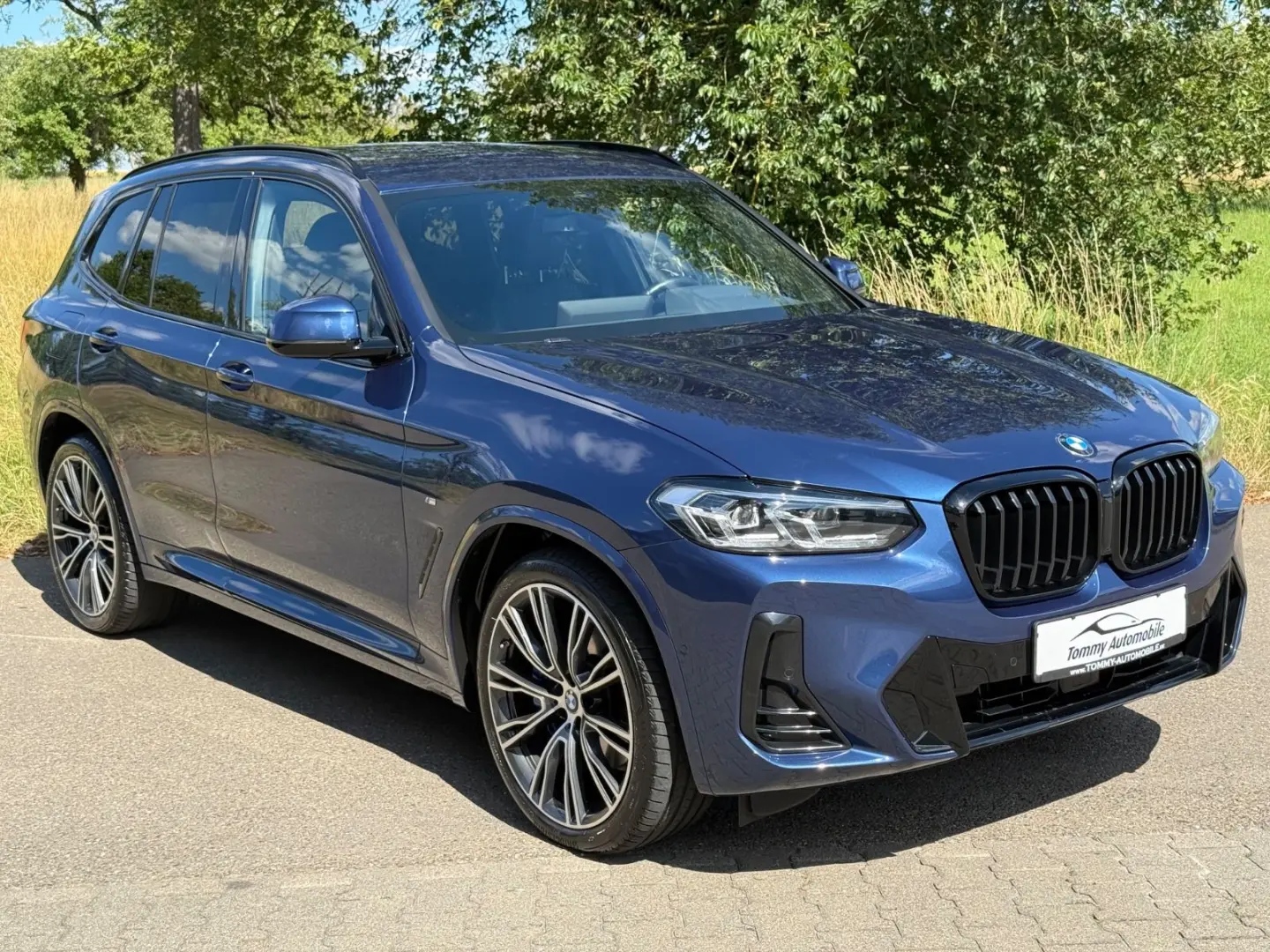 X3 xDrive 30 d M Sport Standhzg Carbon AHK 21