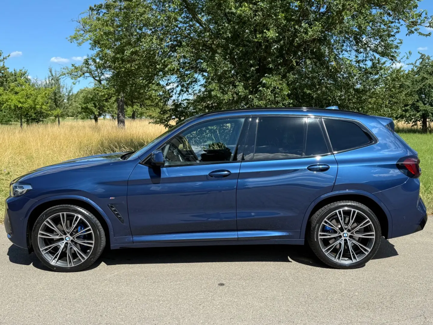 X3 xDrive 30 d M Sport Standhzg Carbon AHK 21
