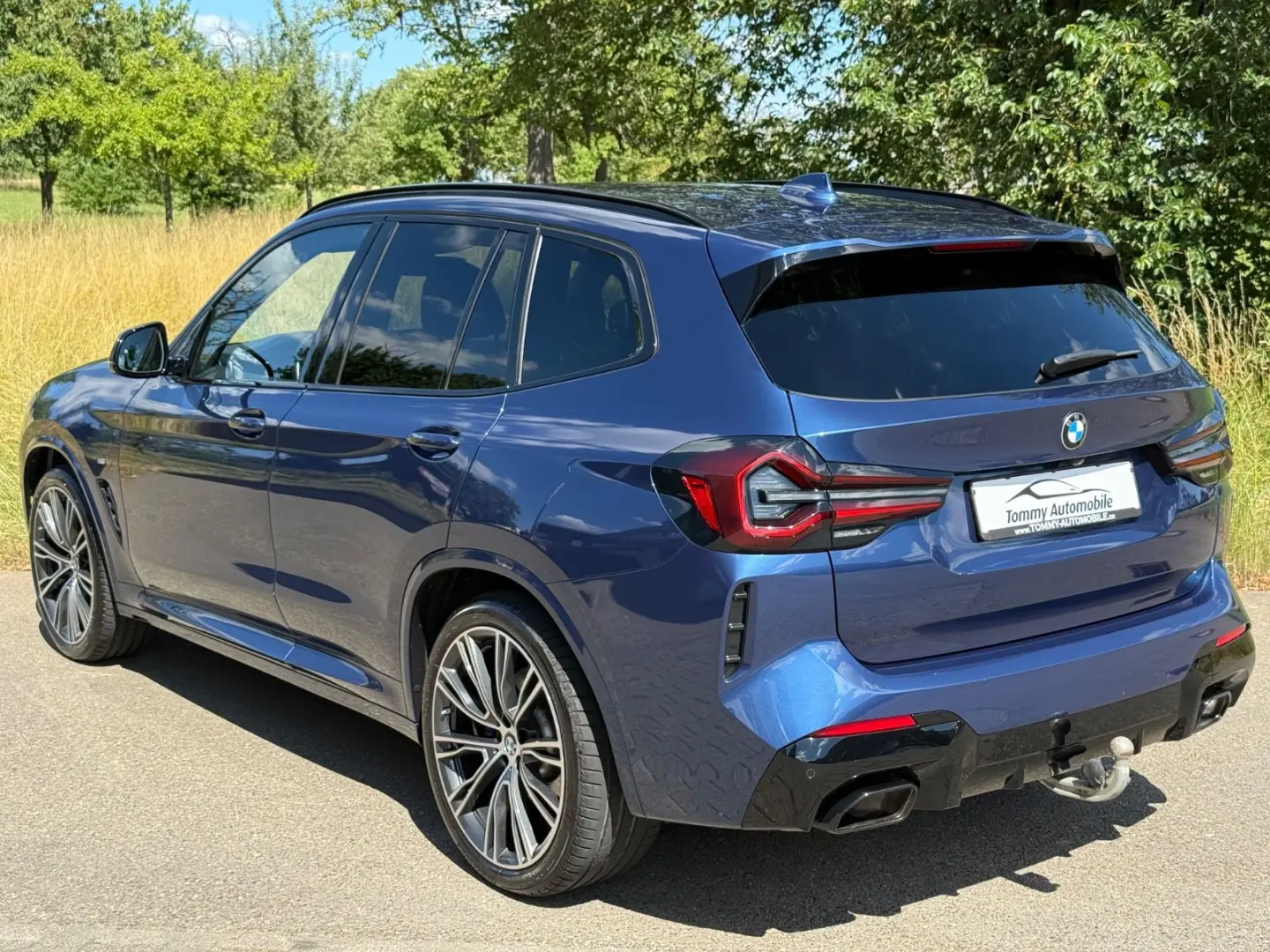 X3 xDrive 30 d M Sport Standhzg Carbon AHK 21