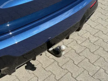 X3 xDrive 30 d M Sport Standhzg Carbon AHK 21