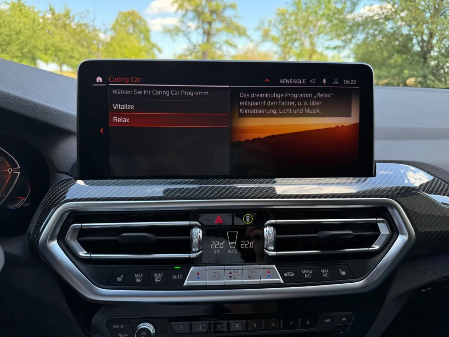 X3 xDrive 30 d M Sport Standhzg Carbon AHK 21
