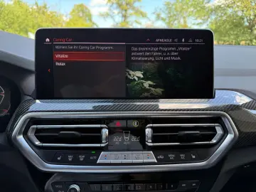 X3 xDrive 30 d M Sport Standhzg Carbon AHK 21