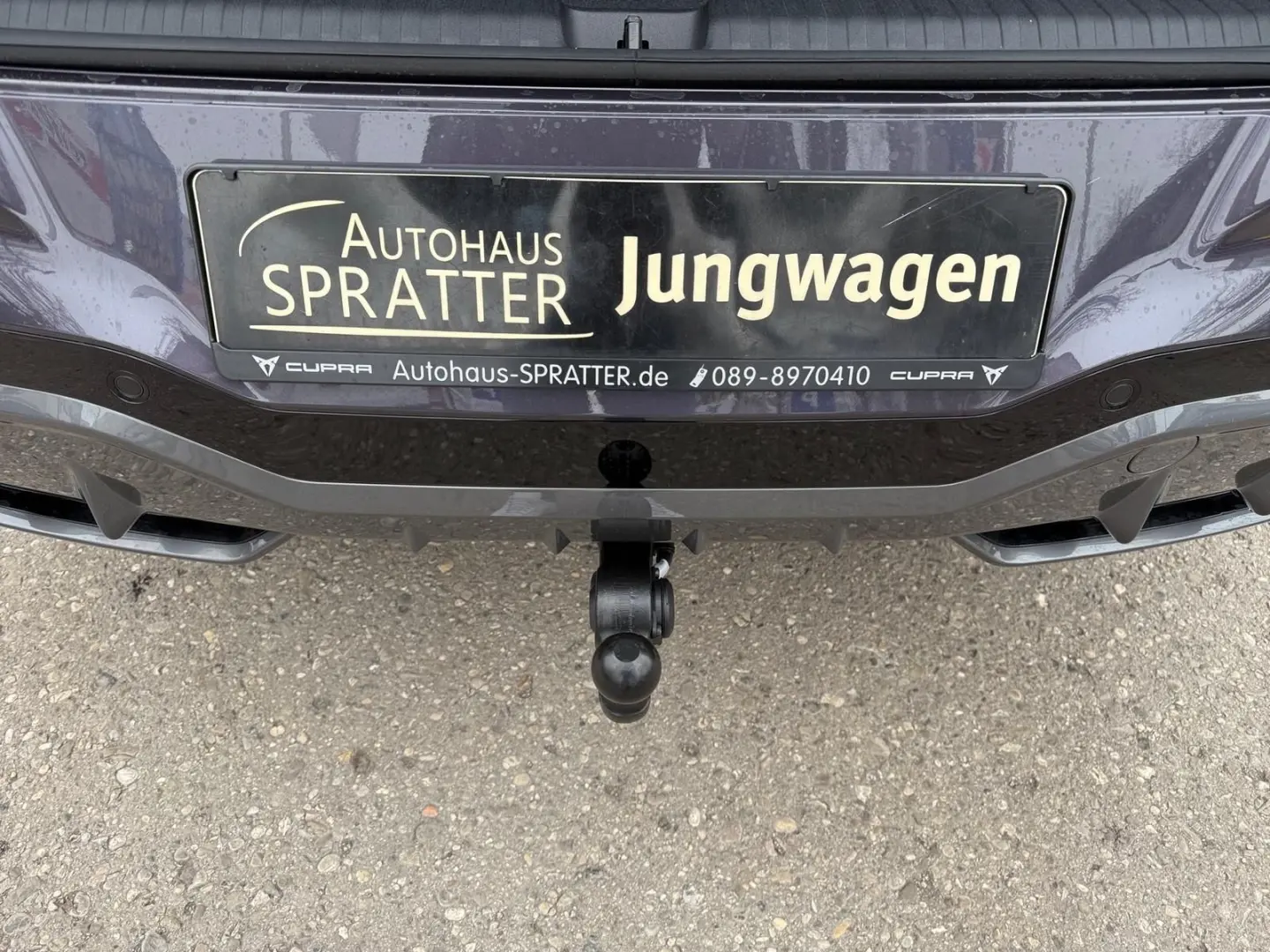 Terramar 2.0 TSI VZ DSG 4Drive NAVI AHK Matrix