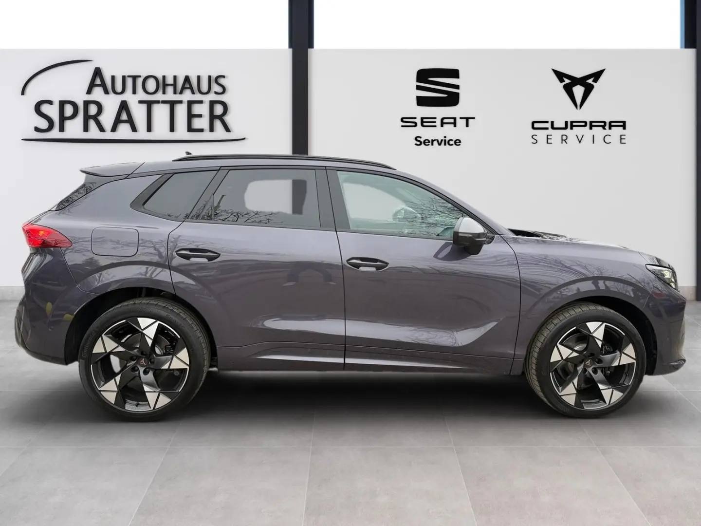 Terramar 2.0 TSI VZ DSG 4Drive NAVI AHK Matrix