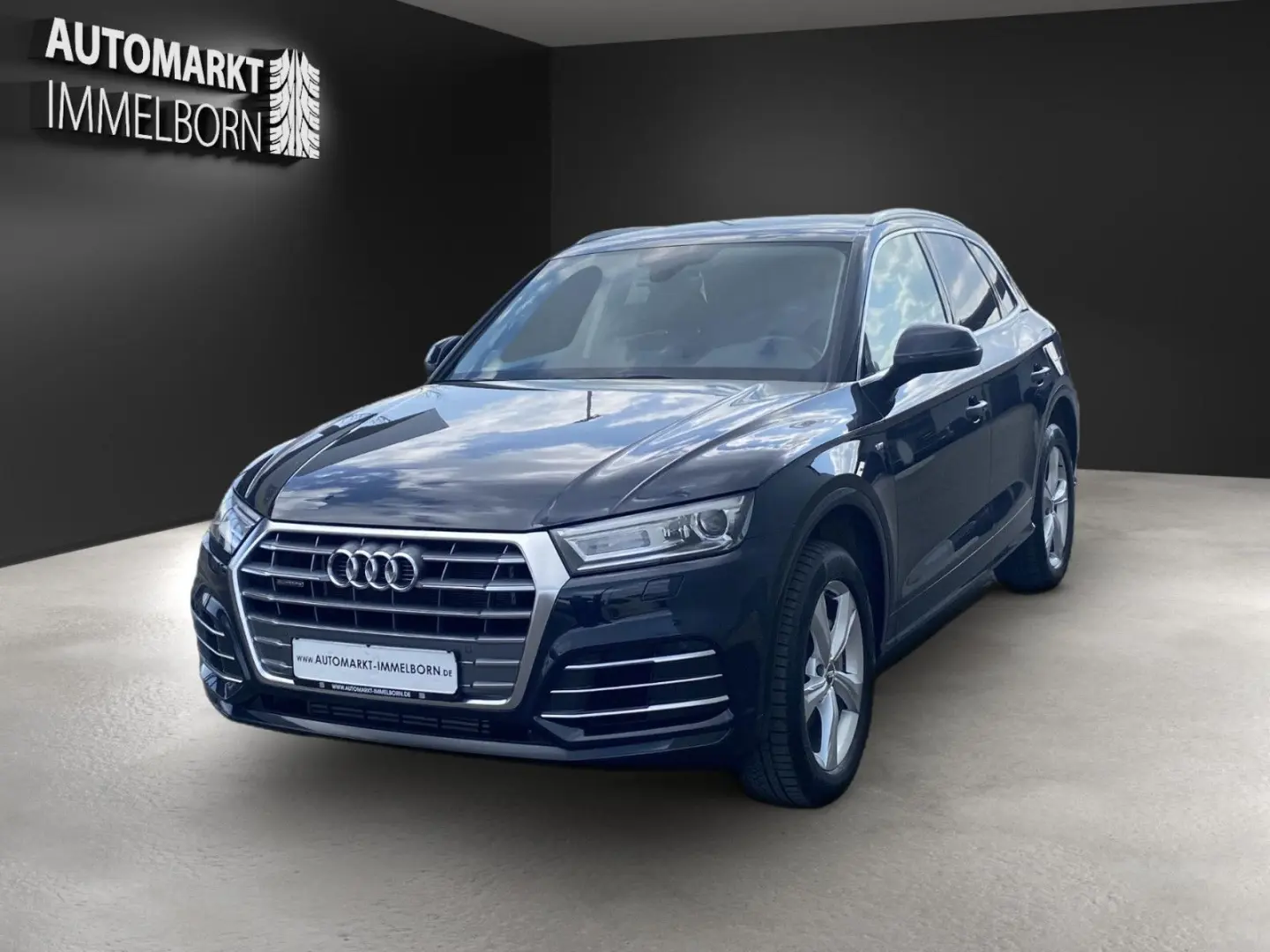 Q5 e quattr S Line Sport Kamera*Xen*Sound*DAB*19
