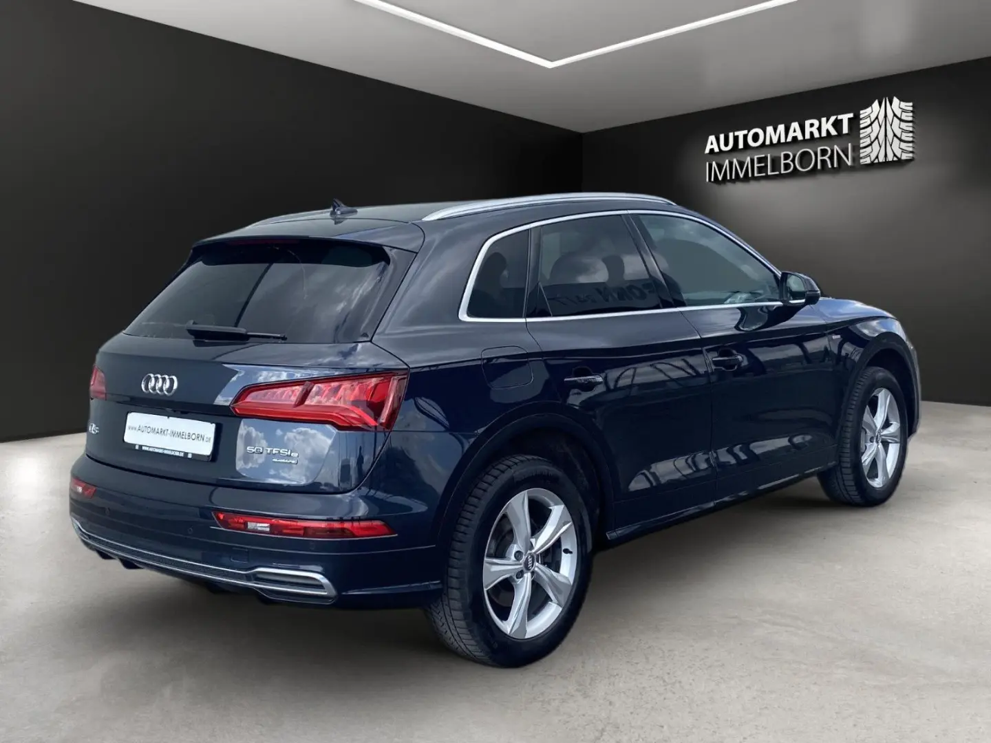 Q5 e quattr S Line Sport Kamera*Xen*Sound*DAB*19