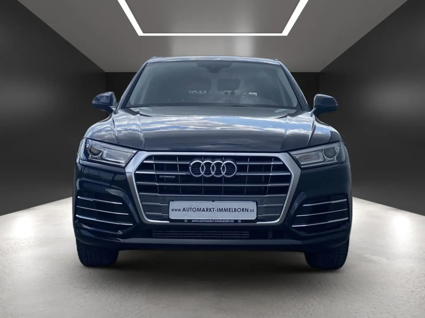 Q5 e quattr S Line Sport Kamera*Xen*Sound*DAB*19