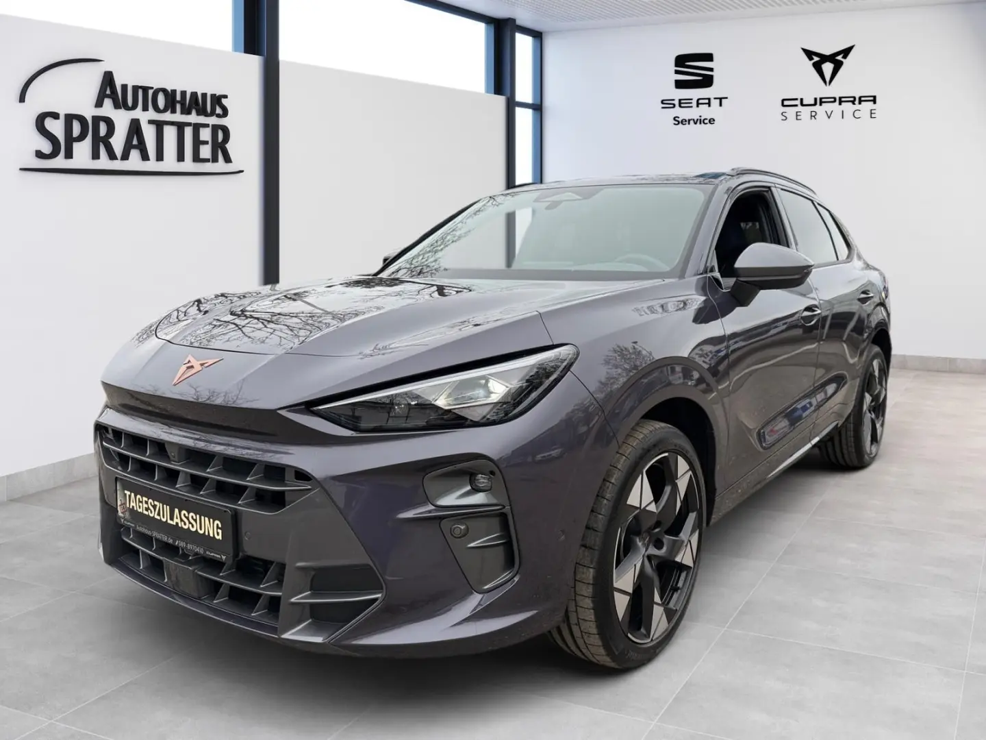 Terramar 2.0 TSI VZ DSG 4Drive NAVI AHK Matrix