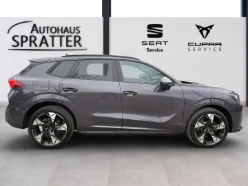 Terramar 2.0 TSI VZ DSG 4Drive NAVI AHK Matrix