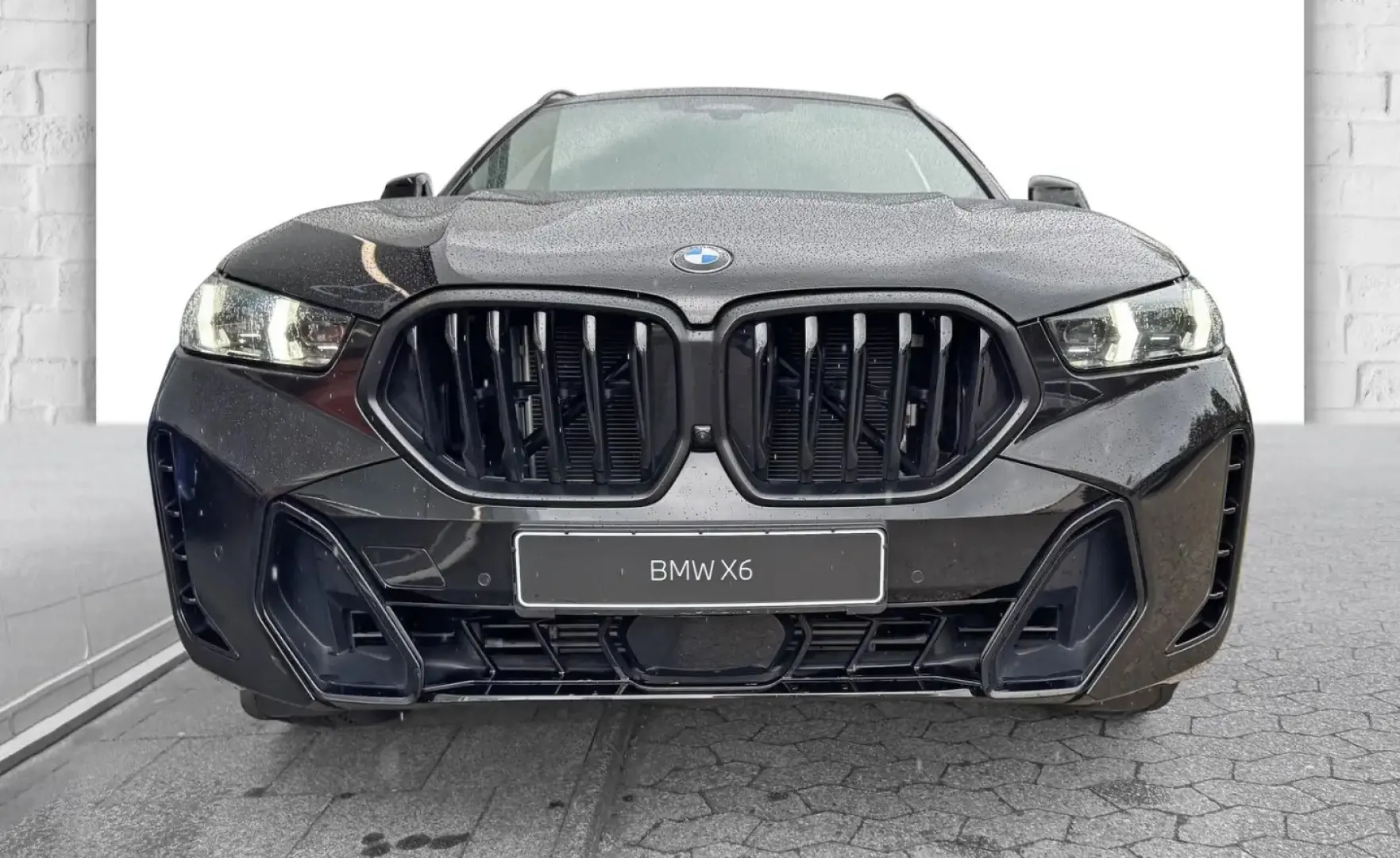 X6 xDrive40d Sportpaket Pro