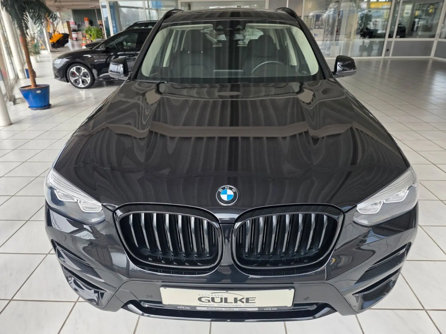 X3 xDrive 30 e Advantage, Pano, PDC, Kam, SHZ