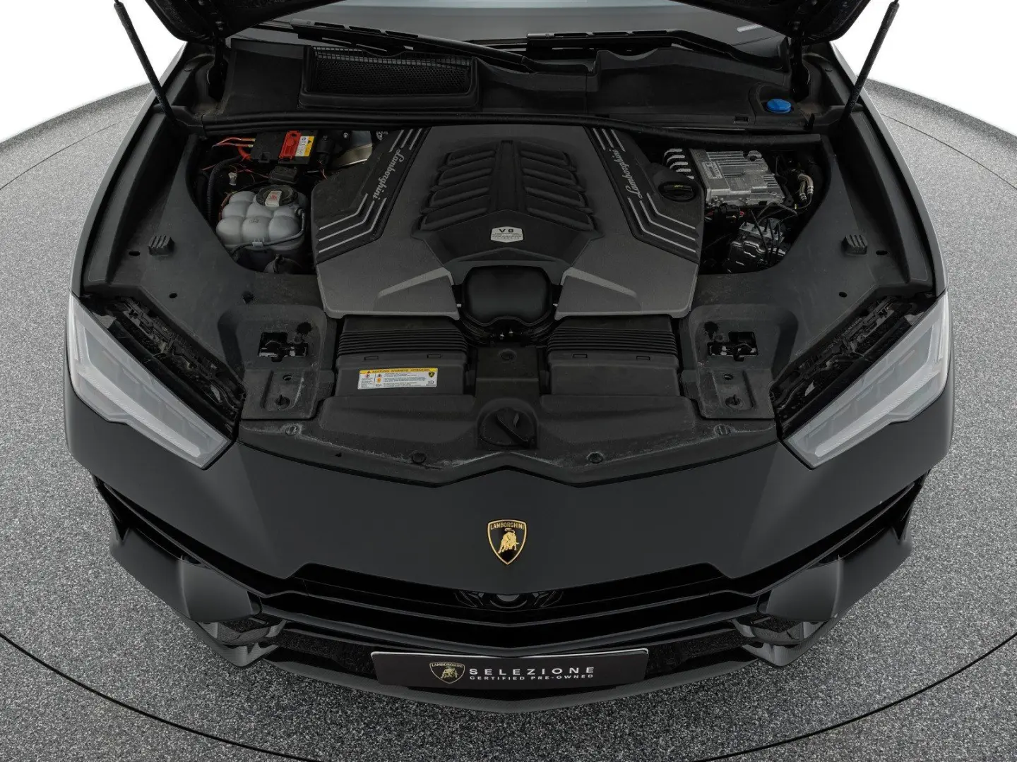 Urus Performante