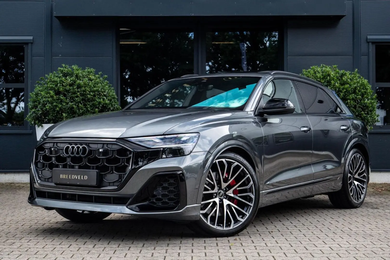 Q8 60 TFSI e quattro Pro Line S Competition