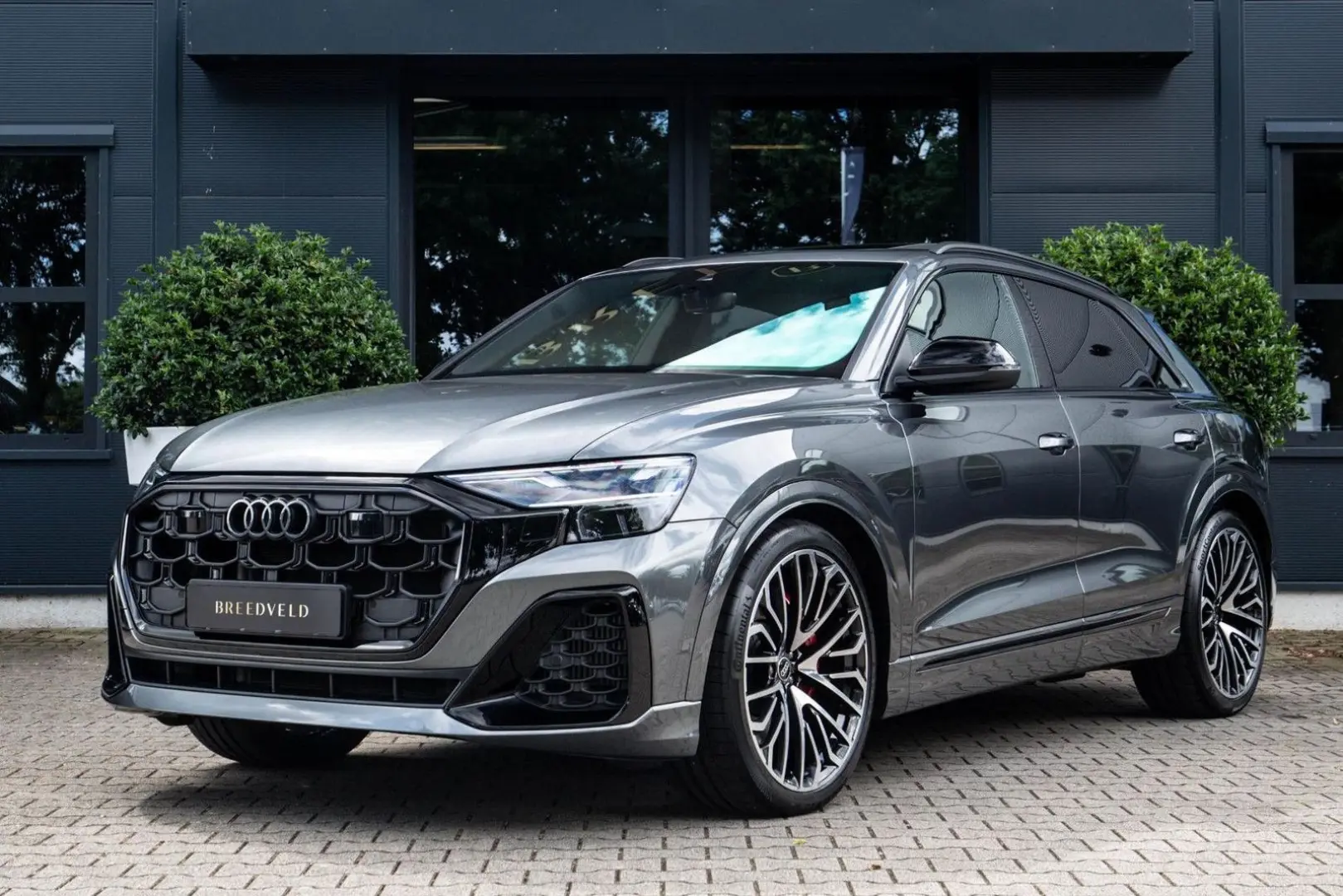 Q8 60 TFSI e quattro Pro Line S Competition
