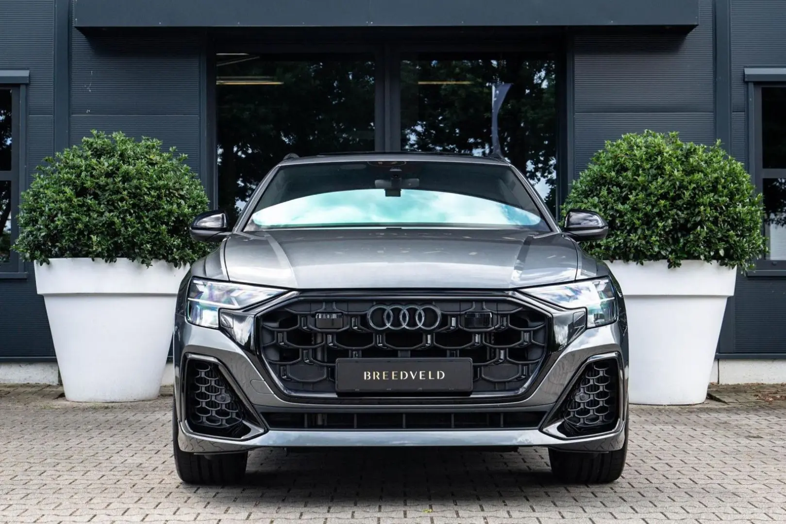 Q8 60 TFSI e quattro Pro Line S Competition
