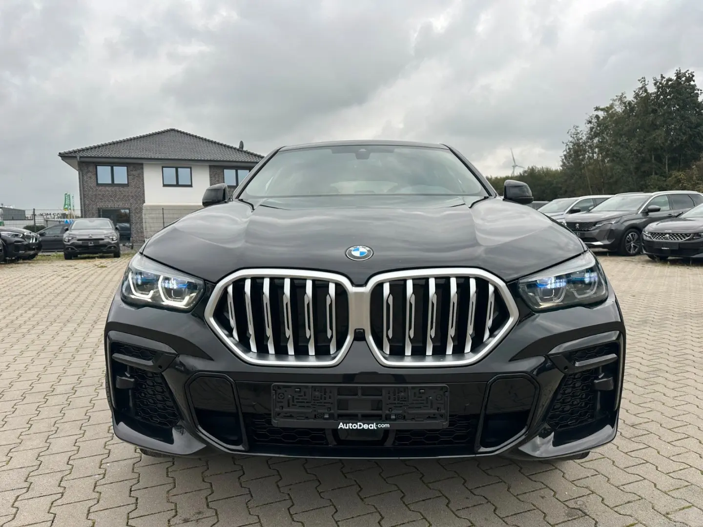 X6 30d xDrive M Sport Paket  Panoramadach