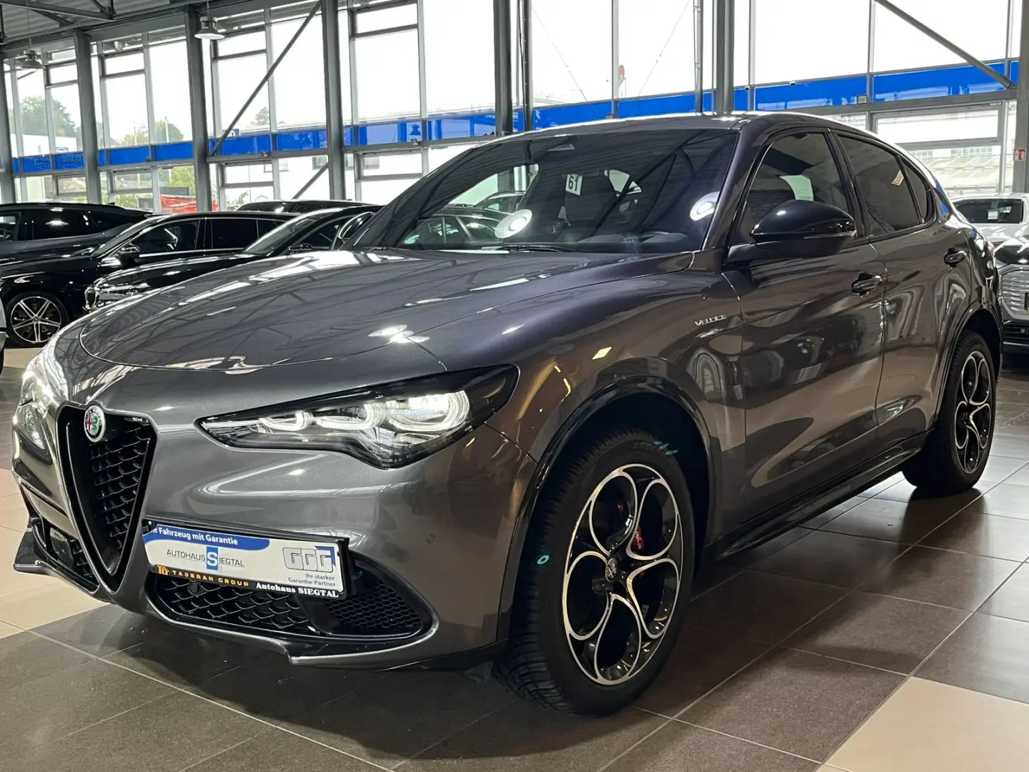 Stelvio Veloce Q4 Sport Harman Kardon Leder ACC