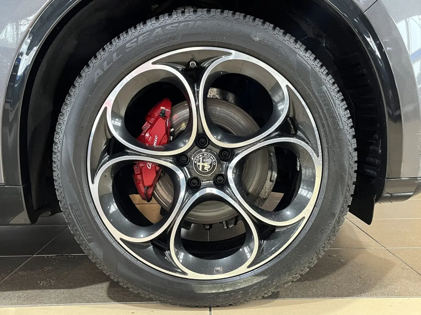 Stelvio Veloce Q4 Sport Harman Kardon Leder ACC