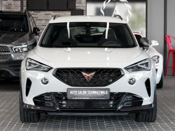 Formentor VZ5 Taiga Edition CARBON 20-ZOLL BEATS