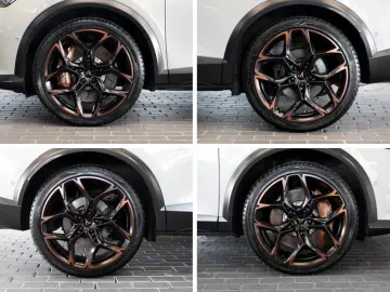 Formentor VZ5 Taiga Edition CARBON 20-ZOLL BEATS