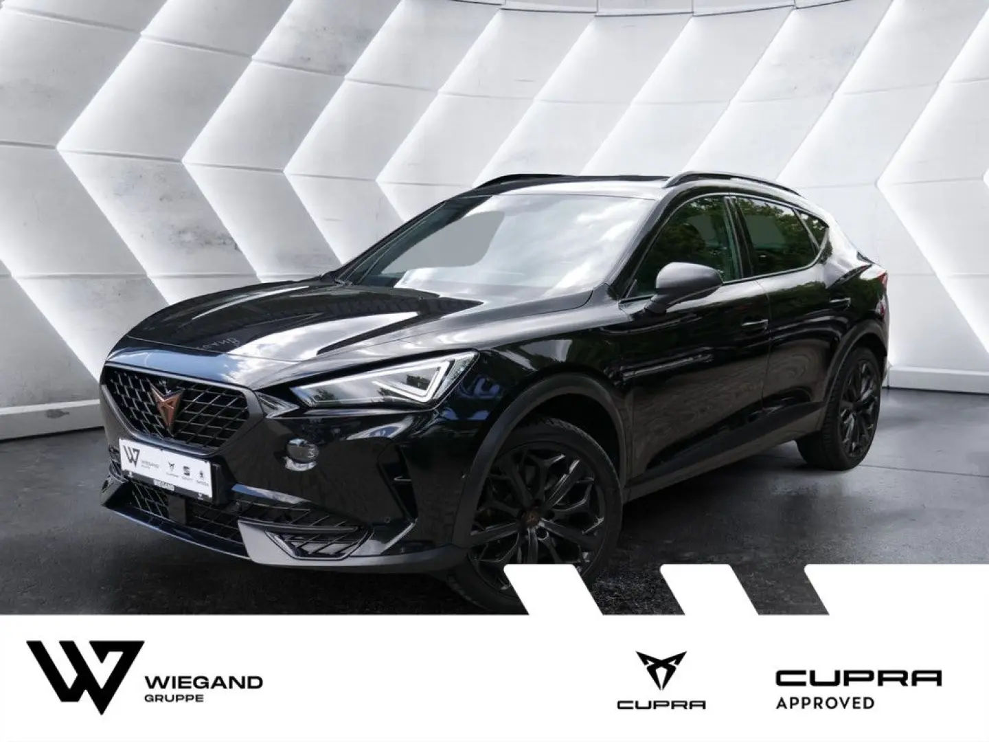 Formentor 2.0 TSI VZ Tribe Edition MATRIX PANO